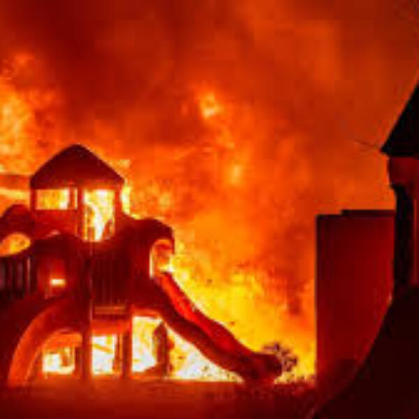 火災是天災還是人禍？ DBS 同學持MC滿分及Paper1 97/100