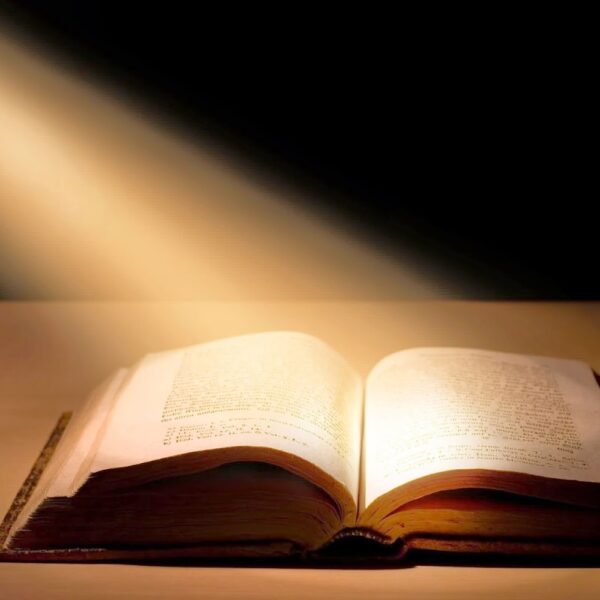 2025 年度DSE 考生給大家的啟示