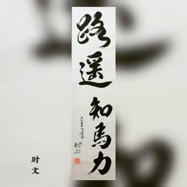 路遙知馬力 - 就讀Maryknoll Convent School (Secondary Section), MCS的Y同學