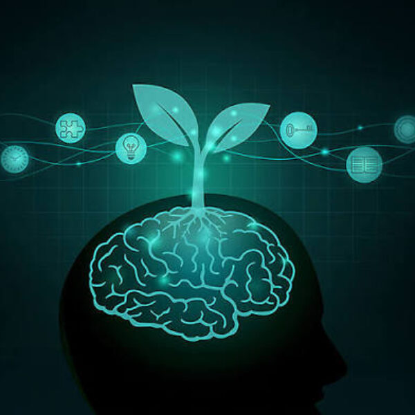 林護中三升中四學生的數學補習觀察：進步，往往由願意改開始
